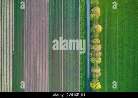 Arialansicht von Ackerland und Straße. Hochwertige Fotos Stockfoto