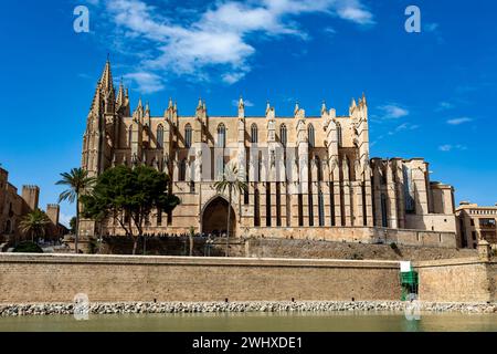 Gotische mittelalterliche Kathedrale La Seu und Königspalast La Almudaina. Palma de Mallorca. Balearen Spanien. Stockfoto