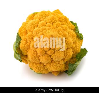 Romanesco-Brokkoli, isoliert auf weißem Hintergrund Stockfoto