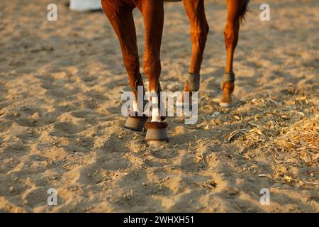 Jockey in Helm und weißer Uniform, die Pferderennen vorbereiten. Stockfoto