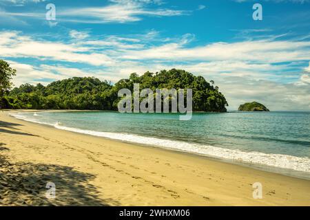 Playa im Manuel Antonio Nationalpark, Costa Rica Tierwelt. Stockfoto