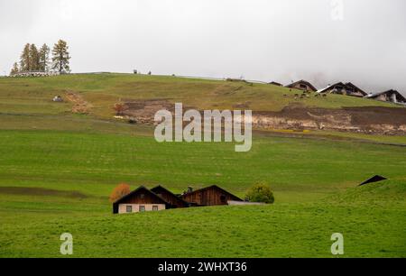 Traditionelle hölzerne Hütten in den Bergen im grünen Feld der dolomiten. Gehäuse in italienischen apls. Alpenraum Stockfoto