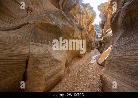 Slot Canyons sind ein typisches Landschaftsmerkmal im Südwesten der USA, Utah Stockfoto