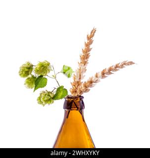 Bierflasche mit Hopfenweizenzweig Stockfoto