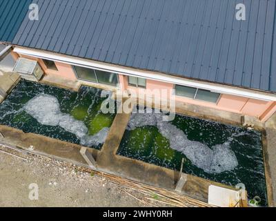 Austernzucht in der Bucht von Morlaix, Bretagne Stockfoto