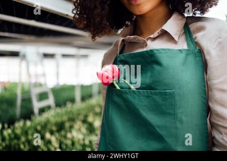 Lächelnde attraktive dunkelhäutige Gärtnerin mit Blume an ihrem Arbeitsplatz Stockfoto