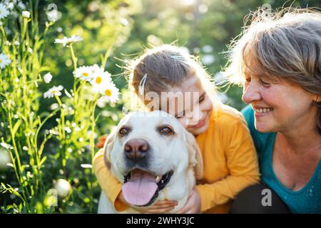 Grauhaarige Großmutter und süße kleine Enkelin gehen mit ihren Hunden zusammen im Park Stockfoto