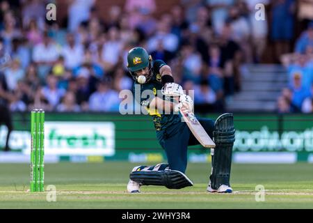 Adelaide, Australien, 11. Februar 2024. Glenn Maxwell aus Australien schlägt beim zweiten Spiel der T20 International Series zwischen Australien und West Indies am 11. Februar 2024 im Adelaide Oval. Quelle: Santanu Banik/Speed Media/Alamy Live News Stockfoto