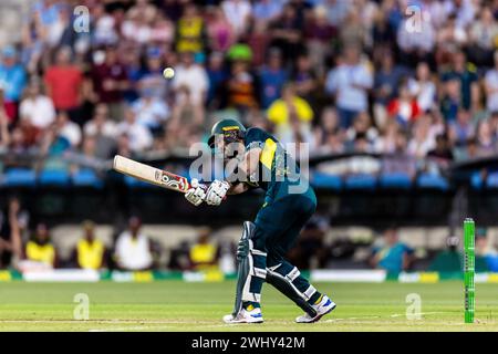 Adelaide, Australien, 11. Februar 2024. Glenn Maxwell aus Australien schlägt beim zweiten Spiel der T20 International Series zwischen Australien und West Indies am 11. Februar 2024 im Adelaide Oval. Quelle: Santanu Banik/Speed Media/Alamy Live News Stockfoto