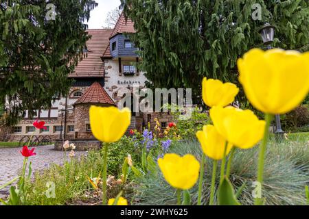 Altes Badehaus Ballenstedt Harz Stockfoto