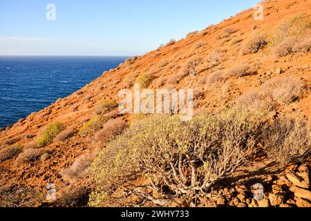 Ocean's Coast View Montana Amarilla Teneriffa Stockfoto