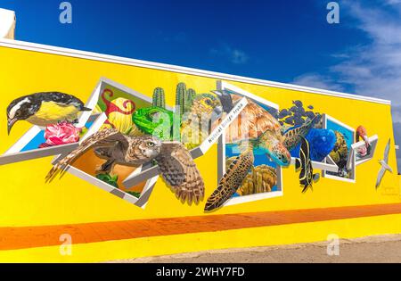 Wandgemälde an der Wand des Souvenirladens an der Natural Bridge Aruba, Santa Cruz, Aruba, ABC-Inseln, Leeward Antilles, Karibik Stockfoto