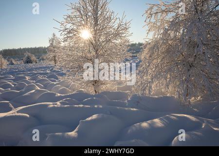 Sonnenschein in der wunderschönen Winterlandschaft Stockfoto