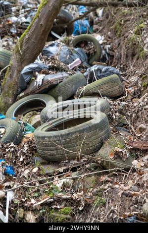 Alte gebrauchte Autoreifen im Wald. Illegale Müllhalde von Reifen in der Natur. Umweltverschmutzung. Stockfoto