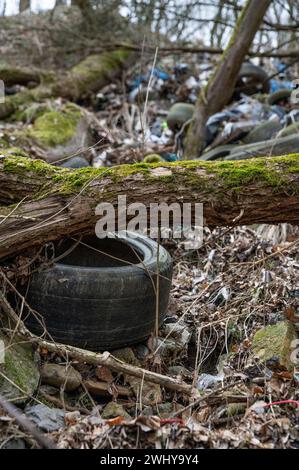 Alte gebrauchte Autoreifen im Wald. Illegale Müllhalde von Reifen in der Natur. Umweltverschmutzung. Stockfoto