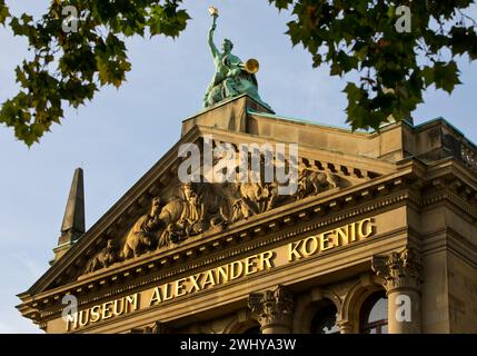 Museum Koenig, Naturhistorisches Museum, Station Pfad der Demokratie, Bonn, Deutschland, Europa Stockfoto