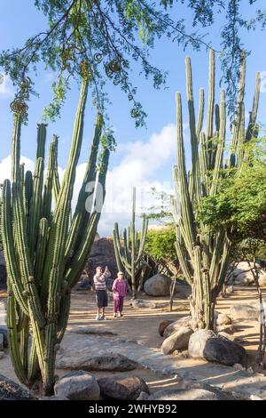 Kaktuspflanzen in den Felsformationen von Casibari, Paradera, Aruba, ABC-Inseln, Leeward Antilles, Karibik Stockfoto