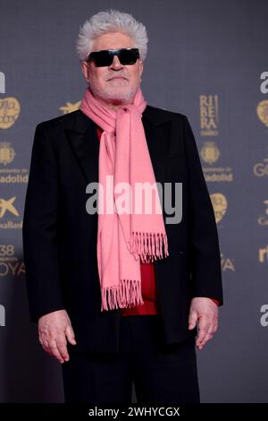 Valladolid, Spanien. Februar 2024. Valladolid, Spanien; 10.02.2024.- Charaktere auf dem Roten Teppich der Goya Awards 2024. Vermerk: Juan Carlos Rojas/dpa/Alamy Live News Stockfoto