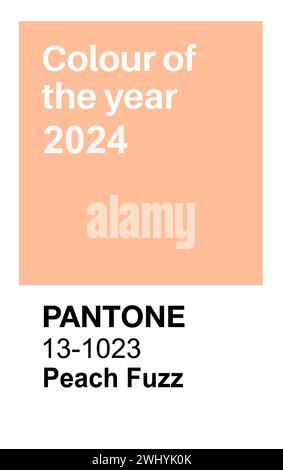 Pantone Pantone Peach Fuzz Trendfarbe des Jahres 2024. Farbmuster, Vektorillustration Stock Vektor