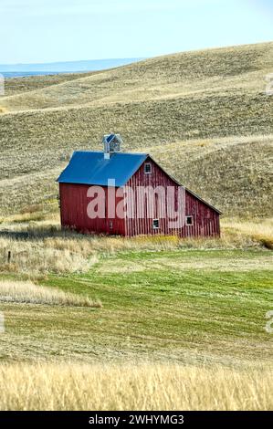 Alte rote Scheune, die auf einem Feld steht. Stockfoto