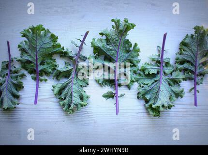Rote Blätter oder Russischen kale Kale auf Holz- Hintergrund. Stockfoto