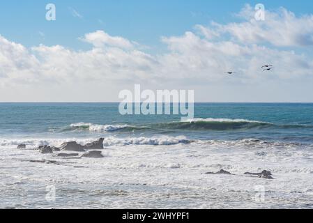 Zuschauer, Mavericks, Big Wave Surfen, Am Meer, An Der Küste, Surfbeobachter, Extremsport, Adrenalin Stockfoto