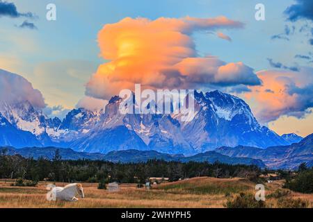 Cuernos del Paine Stockfoto