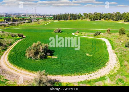 Das Zentrum Israels. Stockfoto