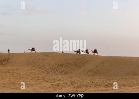 Jaisalmer, Rajasthan, Indien - 29. Oktober 2023: Kamele mit Menschen auf Kamelsafari bei Sonnenuntergang über dem Horizont in der Sandwüste Stockfoto