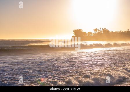 Silhouette, Sonnenuntergang, Surfer, Longboard, Hund, Möwe, Vivid, Hintergrundbeleuchtung, Ledbetter Surf, Küstenszene, Silhouetten Bei Sonnenuntergang, Strandleben Stockfoto