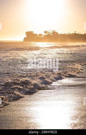 Silhouette, Sonnenuntergang, Surfer, Longboard, Hund, Möwe, Vivid, Hintergrundbeleuchtung, Ledbetter Surf, Küstenszene, Silhouetten Bei Sonnenuntergang, Strandleben Stockfoto