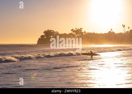 Silhouette, Sonnenuntergang, Surfer, Longboard, Hund, Möwe, Vivid, Hintergrundbeleuchtung, Ledbetter Surf, Küstenszene, Silhouetten Bei Sonnenuntergang, Strandleben Stockfoto