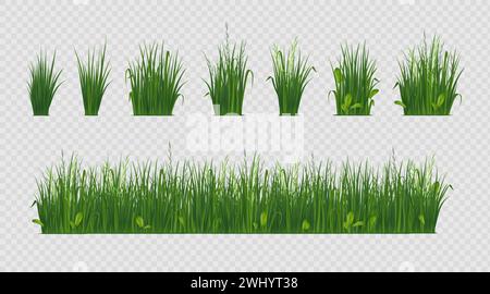 3D Gras. Grüner Unkrautgarten, Bauernhoflandschaft oder Frühlingssprossen, Rasenwiese oder Park im Freien. Isolierte Einrichtung mit realistischen botanischen Elementen. Sommer-Kräuterlandschaft. Hintergrund für Vektordesign Stock Vektor