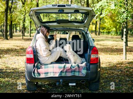 Die junge Frau sitzt in einem offenen Kofferraum im Wald und bietet ihrem süßen Hund etwas an. Stockfoto