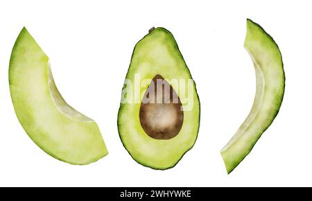 Avocado Aquarell Illustrationsset. Abbildung von Teilen und Hälften auf isoliertem Hintergrund. Realistische Zeichnung der tropischen Früchte. Grünreifes Gemüse Stockfoto