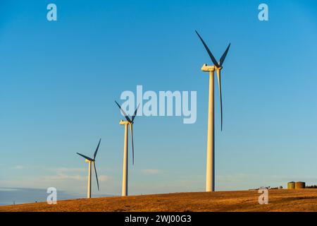 Starfish Hill Wind Farm in Cape Jervis, South Australia Stockfoto