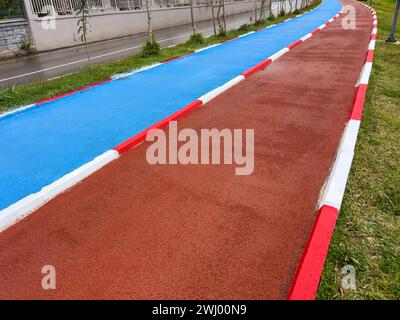 Blauer Radweg und roter Laufweg führen Seite an Seite durch einen öffentlichen Park Stockfoto