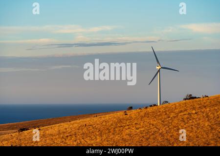 Starfish Hill Wind Farm in Cape Jervis, South Australia Stockfoto