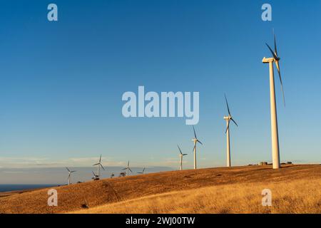 Starfish Hill Wind Farm in Cape Jervis, South Australia Stockfoto