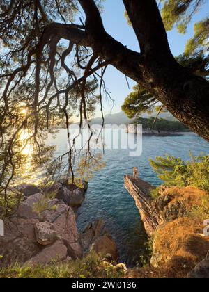 Budva, Montenegro - 01. august 2023: Blick durch Nadelzweige von Mann und Frau, die auf einem schmalen Felsen über dem Meer stehen Stockfoto