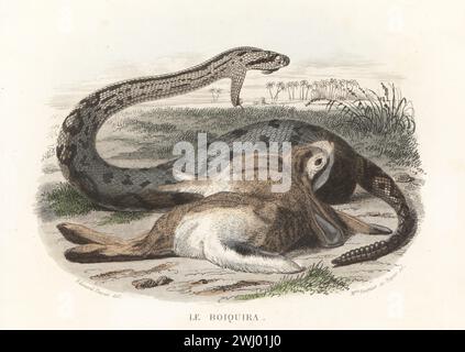 Holzklapperschlange, Crotalus horridus, mit ihrer Beute, einem Kaninchen oder Hasen. Le boiquira, Crotalus atricaudatus, Teuhtlacot zauhqui, Vipera caudisona. Handkolorierter Stahlstich von Madame Félicie Fournier und Charles Beyer nach einer Illustration von Edouard Travies aus Bernard Germain de Lacepede Histoire Naturelle de Lacepede, comprenant les cetaces, les quadrupedes ovipares, les Serpents et les Poissons, Furne et Cie, Paris, 1847. Stockfoto