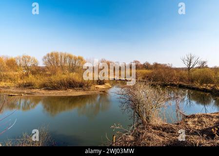 fluss mäandert mit Bäumen am frühen Frühlingstag mit klarem Himmel - oder Fluss in CHKO Poodri in Tschechien Stockfoto