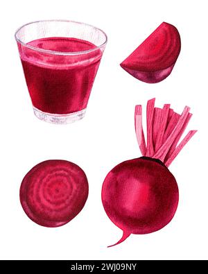Frische Rote Beete und Schnittset. Handgezeichnete Aquarellillustration isoliert auf weißem Hintergrund Stockfoto