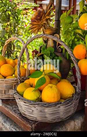 Voller Korb mit Reifen Orangen Stockfoto