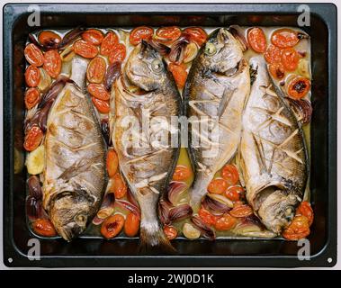 Gebackener Fisch mit gehacktem Gemüse liegt auf einem Backblech. Draufsicht Stockfoto