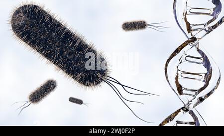 3D-Rendering eines Doppelhelix-DNA-Strangs umgeben von mehreren stabförmigen Bakterien, die Interaktion zwischen Bakterien und DNA. Stockfoto