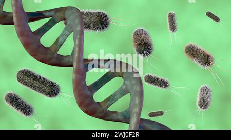 3D-Rendering eines Doppelhelix-DNA-Strangs umgeben von mehreren stabförmigen Bakterien, die Interaktion zwischen Bakterien und DNA. Stockfoto