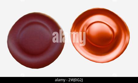 Die 3D-Darstellung von hypochromen roten Blutkörperchen sind rote Blutkörperchen, die bei der Untersuchung unter einem Mikroskop weniger Farbe als normal haben. Stockfoto