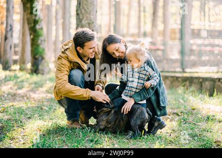 Das kleine Mädchen steht neben Mom und Dad und streichelt eine französische Bulldogge im Wald Stockfoto