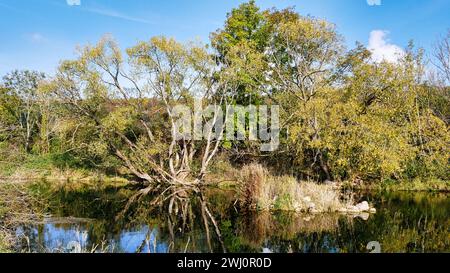 Auenlandschaft auf dem Premium-Wanderweg Kloster-Felsenlaufen auf der Schwäbischen Alb Stockfoto